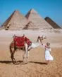 Randonnée à dos de chameau ou de cheval aux pyramides de Gizeh